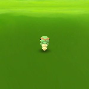 Meet your Posher, Blake